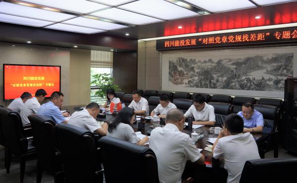 四川能投發(fā)展黨委召開(kāi)“對(duì)照黨章黨規(guī)找差距”專題會(huì)